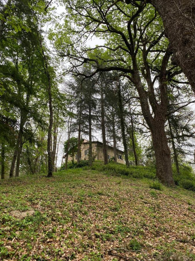 Naturemugello Oasi Naturista Dicomano Bagian luar foto